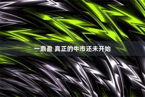 一鼎盈 真正的牛市还未开始