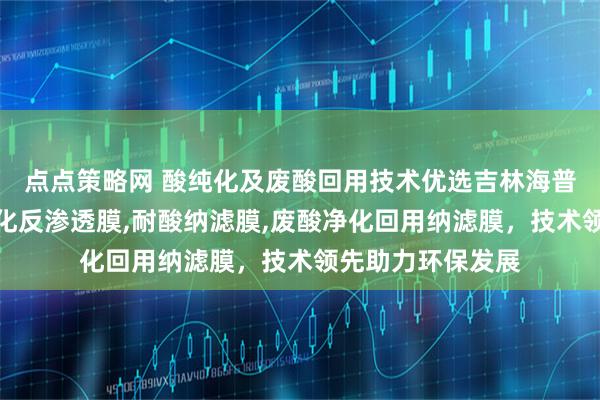 点点策略网 酸纯化及废酸回用技术优选吉林海普科技，专注酸纯化反渗透膜,耐酸纳滤膜,废酸净化回用纳滤膜，技术领先助力环保发展