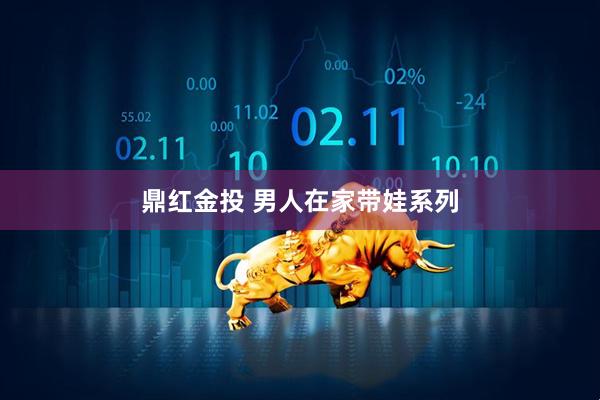 鼎红金投 男人在家带娃系列